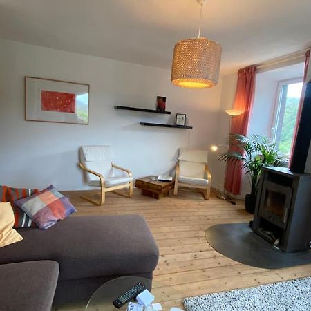 Vila Helles, Gemuetliches Haus Mit Moselblick Müden Exteriér fotografie