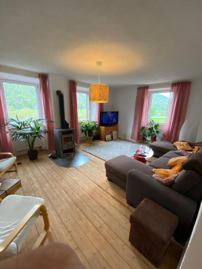 Vila Helles, Gemuetliches Haus Mit Moselblick Müden Exteriér fotografie