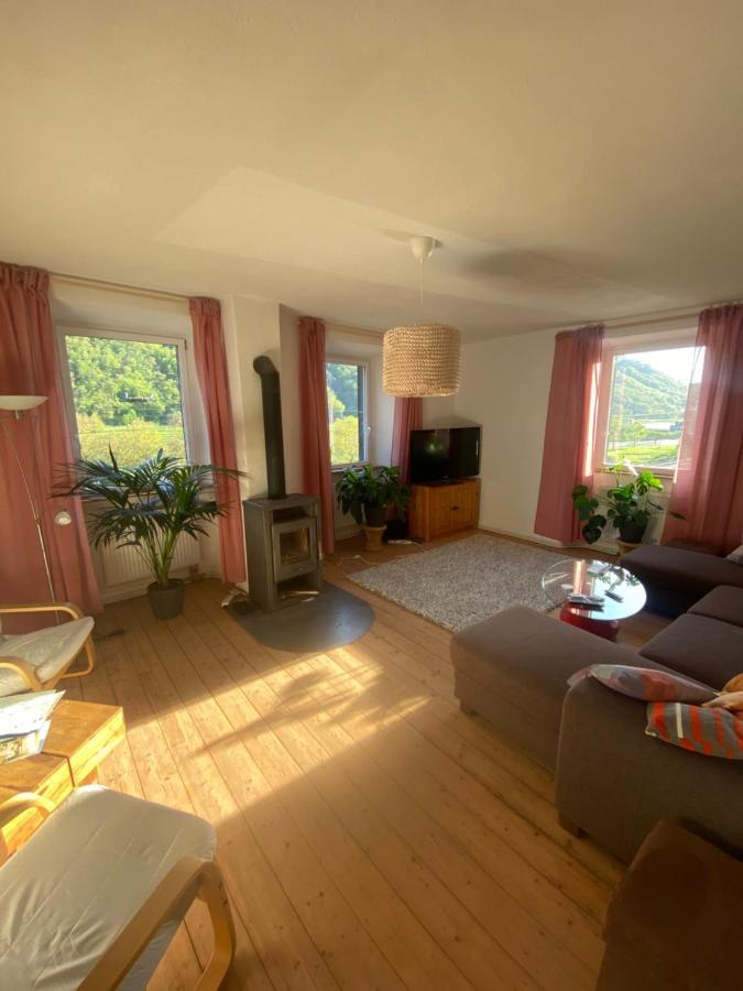 Vila Helles, Gemuetliches Haus Mit Moselblick Müden Exteriér fotografie