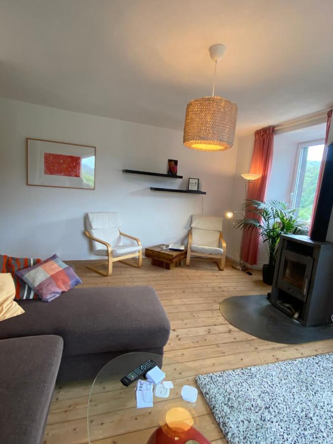 Vila Helles, Gemuetliches Haus Mit Moselblick Müden Exteriér fotografie